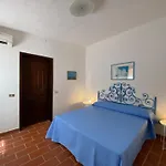 Taconta Tartariga *